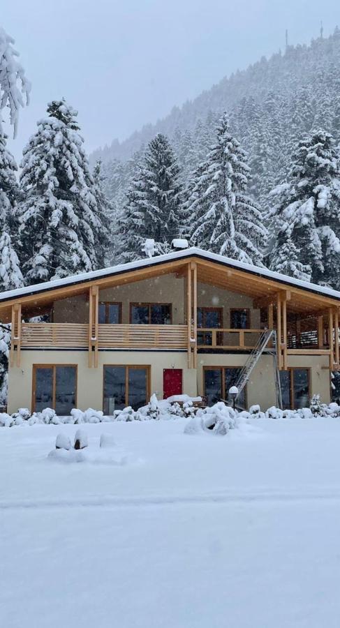 Вилла Chalet Relax Molveno E Andalo Dolomiti Экстерьер фото