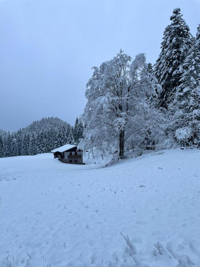 Вилла Chalet Relax Molveno E Andalo Dolomiti Экстерьер фото