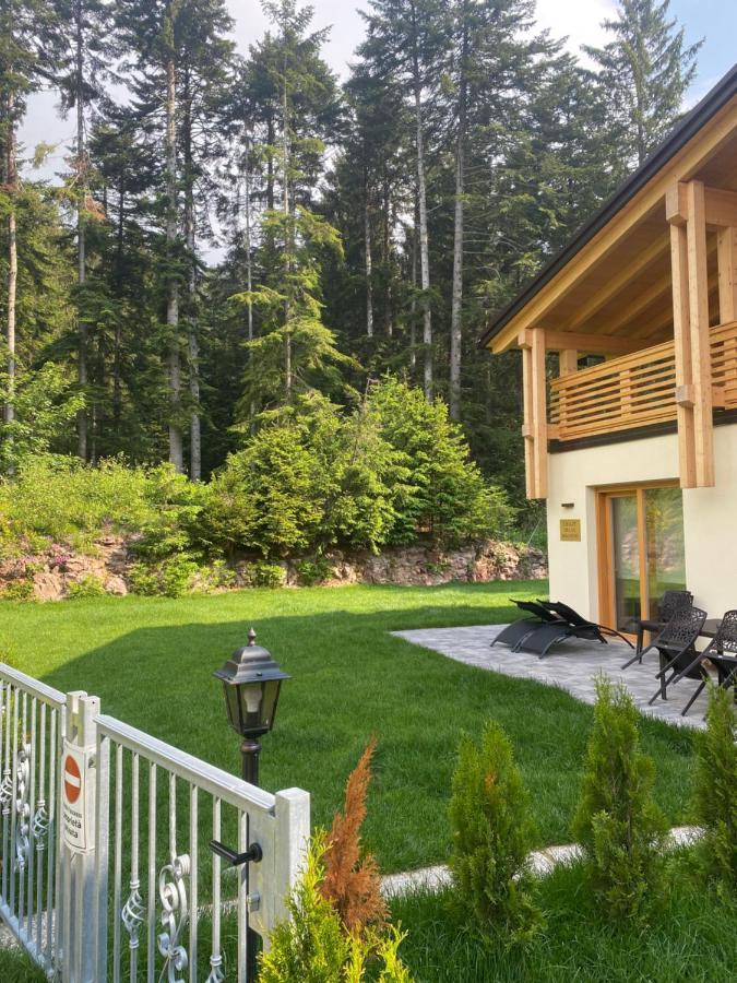 Вилла Chalet Relax Molveno E Andalo Dolomiti Экстерьер фото