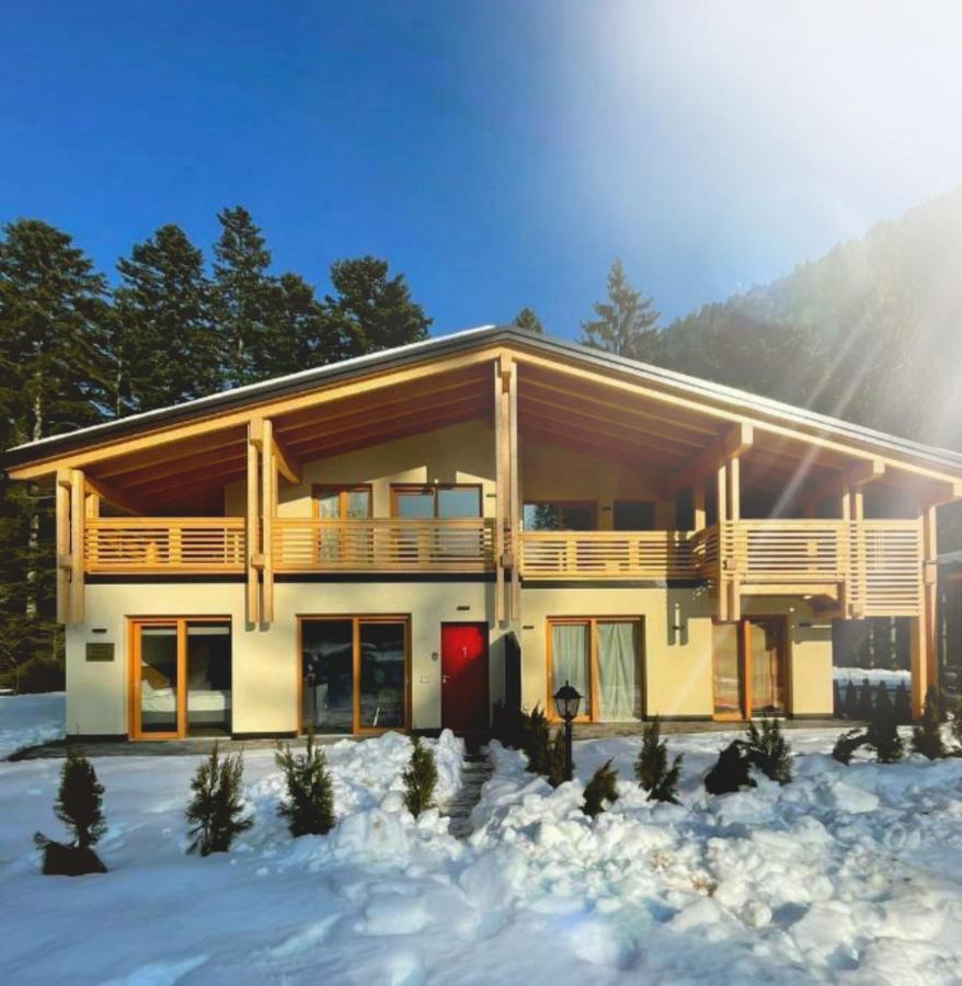 Вилла Chalet Relax Molveno E Andalo Dolomiti Экстерьер фото