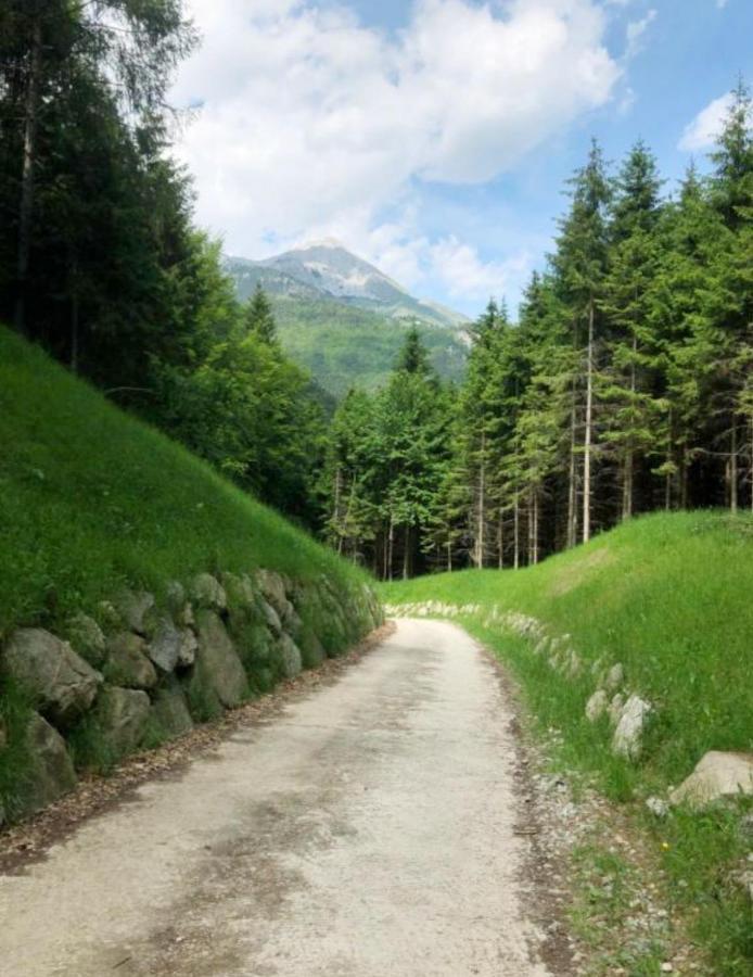 Вилла Chalet Relax Molveno E Andalo Dolomiti Экстерьер фото
