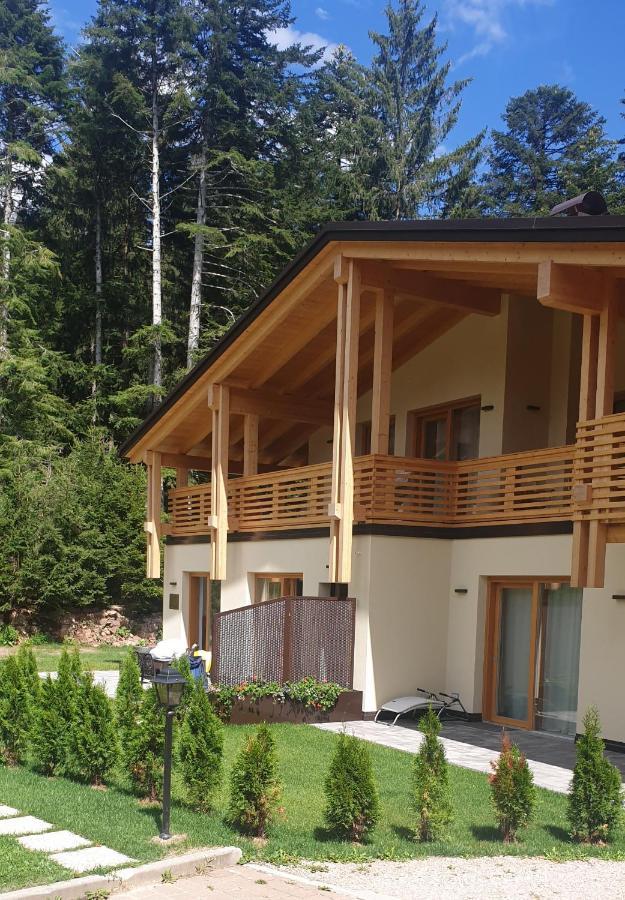 Вилла Chalet Relax Molveno E Andalo Dolomiti Экстерьер фото