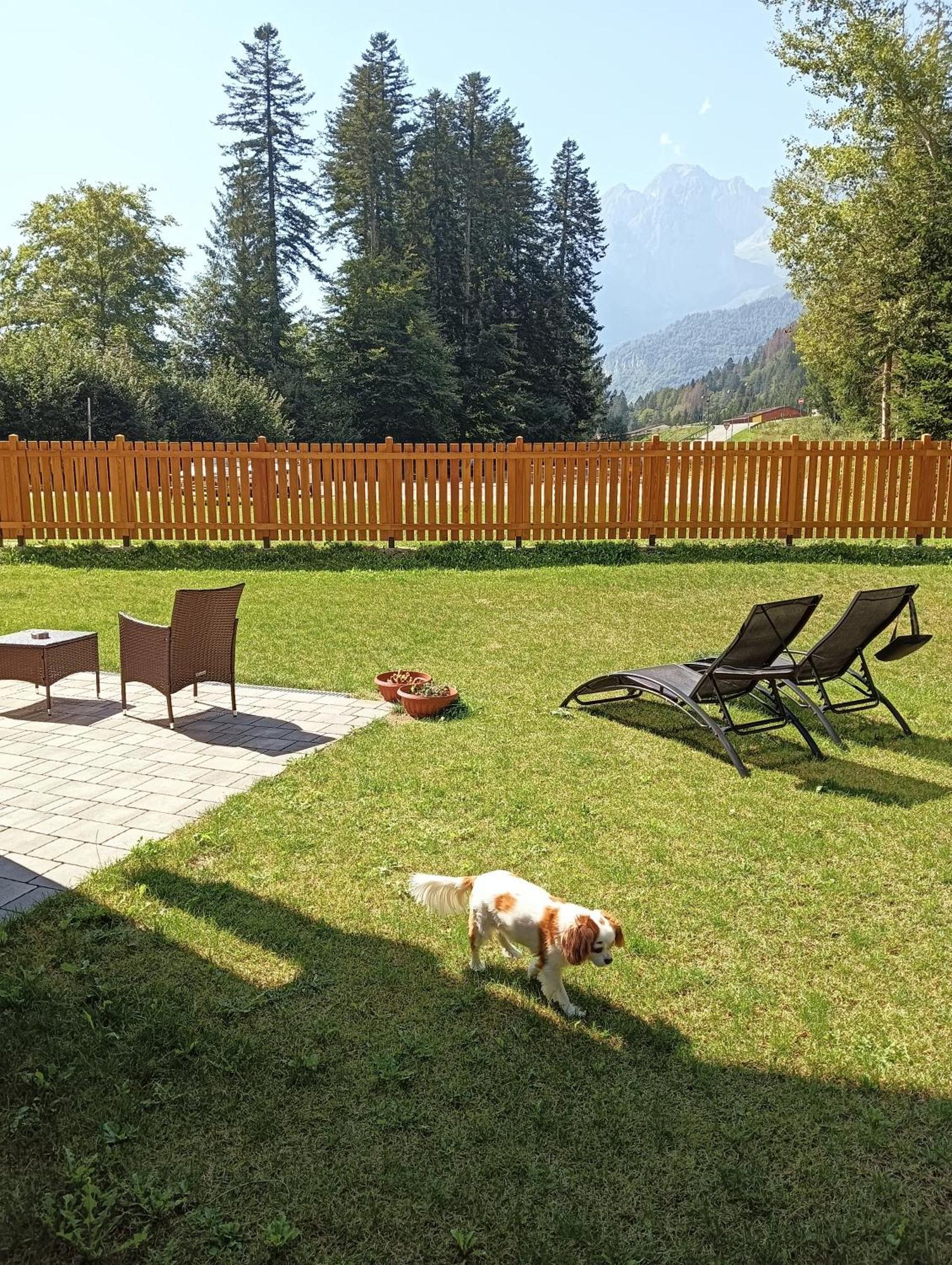 Вилла Chalet Relax Molveno E Andalo Dolomiti Экстерьер фото