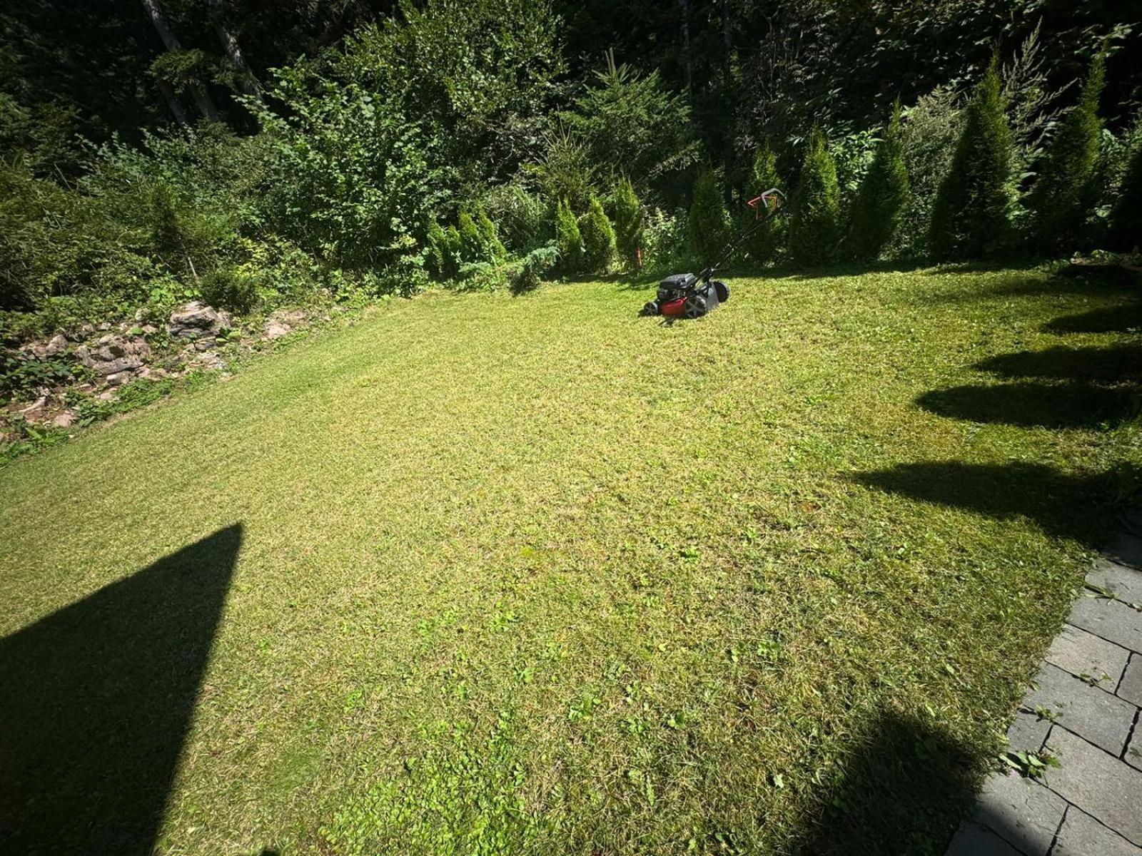 Вилла Chalet Relax Molveno E Andalo Dolomiti Экстерьер фото